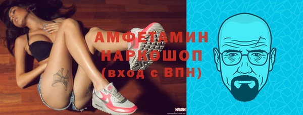 молекула духа Алексин